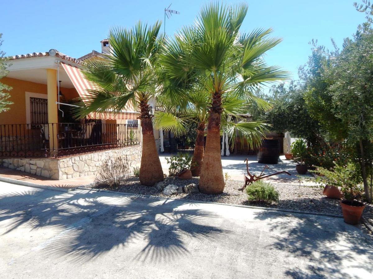 Villa Maria - Pista De Padel Y Piscina Baena Exteriér fotografie