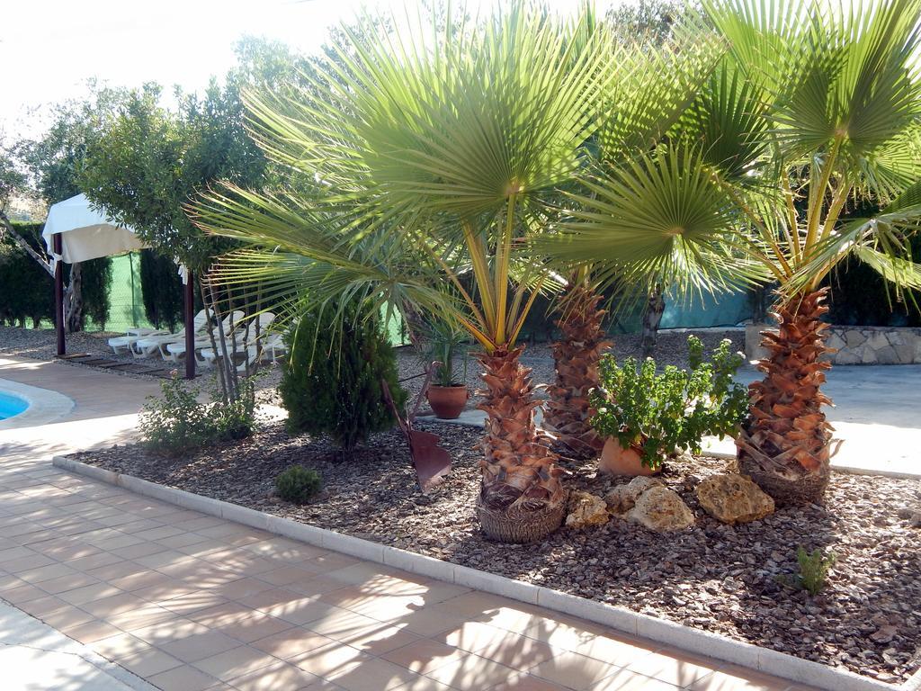 Villa Maria - Pista De Padel Y Piscina Baena Exteriér fotografie
